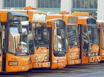 11698570_1856329274593166_2479378813190809481_n