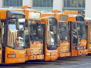 11698570_1856329274593166_2479378813190809481_n