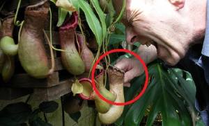 13151395_2021913771368048_8026759719785822388_n