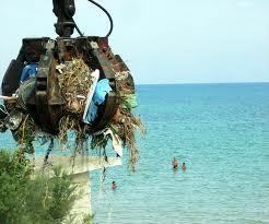 292662_4032615423474_1053431110_n