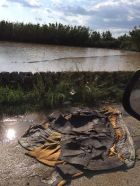 14433020_2109596819266409_4206956398570759684_n